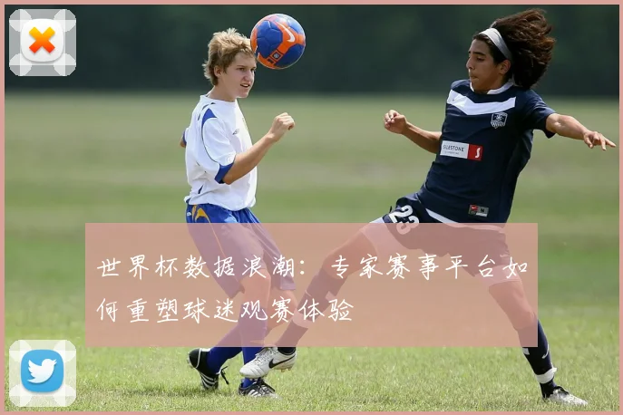 世界杯数据浪潮:专家赛事平台如何重塑球迷观赛体验