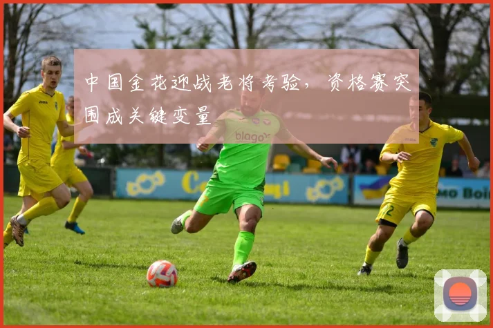 中国金花迎战老将考验,资格赛突围成关键变量