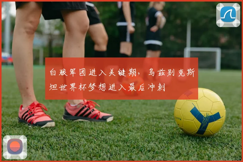 白狼军团进入关键期,乌兹别克斯坦世界杯梦想进入最后冲刺