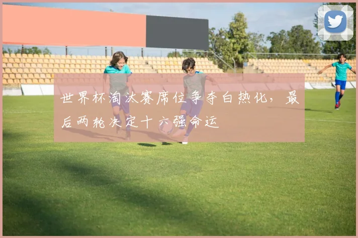 世界杯淘汰赛席位争夺白热化，最后两轮决定十六强命运