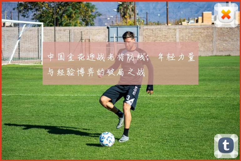 中国金花迎战老将防线:年轻力量与经验博弈的破局之战