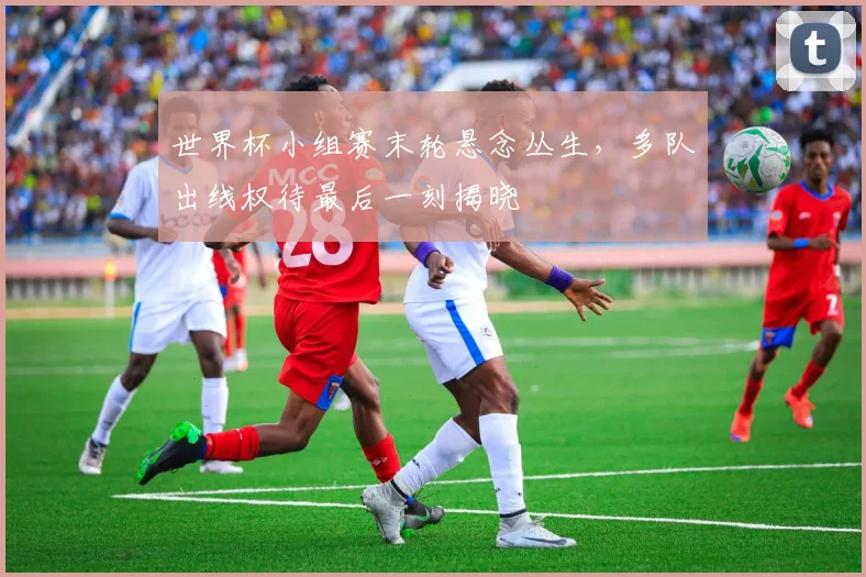 世界杯小组赛末轮悬念丛生，多队出线权待最后一刻揭晓