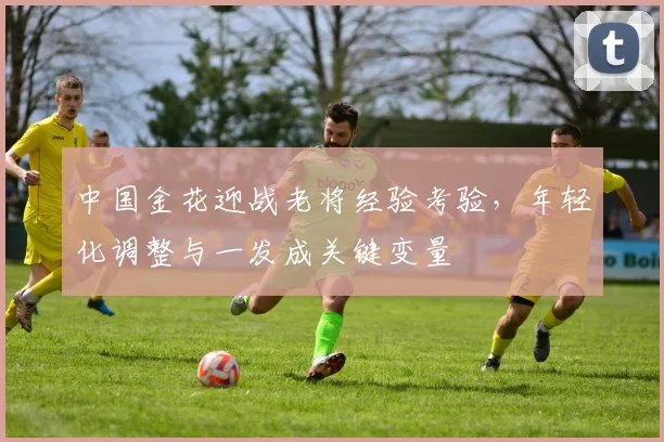 中国金花迎战老将经验考验，年轻化调整与一发成关键变量